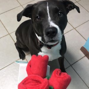 Meet your Posher, Lupita